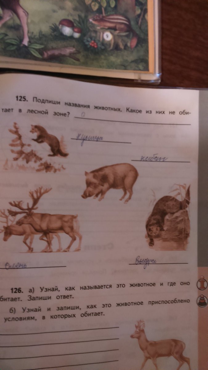 Какие бывают животные 2 класс окружающий мир. Окружающий мир 1 класс учебник. Дикие и домашние животные 2 класс окружающий мир задания. Название животных по окружающему миру 4 класс. Слова названия животных.