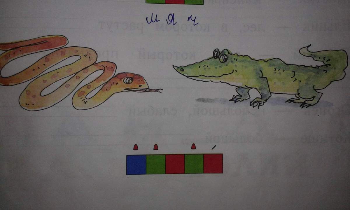 Разбор звуковых схем 1 класс. Крокодил звуковая схема. Схема слова. Звуковая схема. Крокодил звуковая схема.