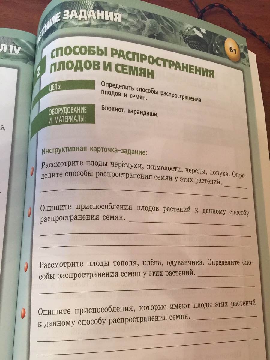 Помогите сделать плз Очень сильно прошу?