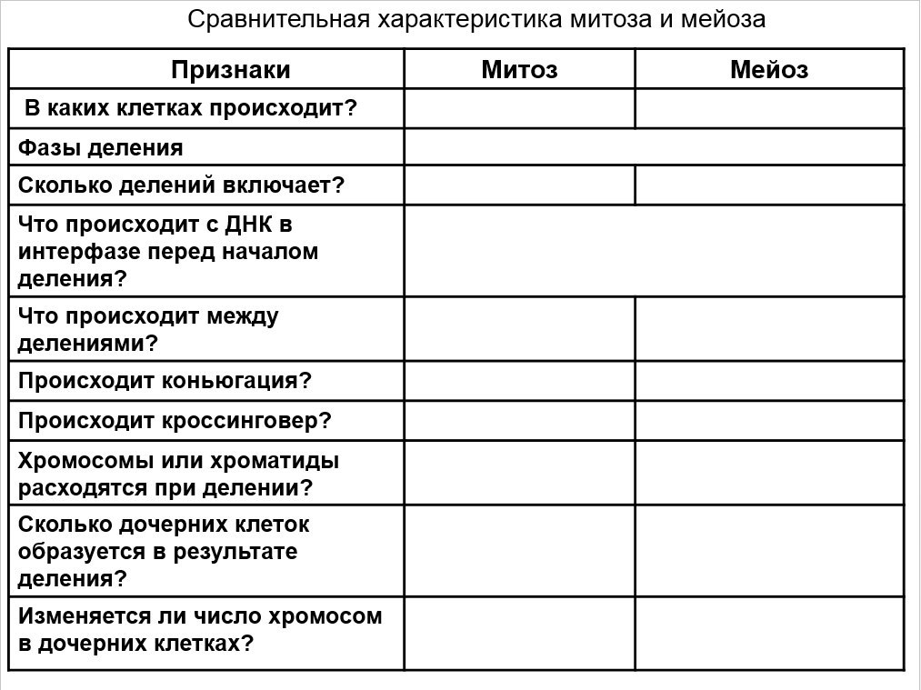 Сходство и отличия митоза и мейоза. Мейоз и митоз сравнительная таблица. Сравнительная характеристика митоза и мейоза сходства. Сравнение митоза и мейоза таблица сравнений. Сравнительная характеристика митоза и мейоза таблица.