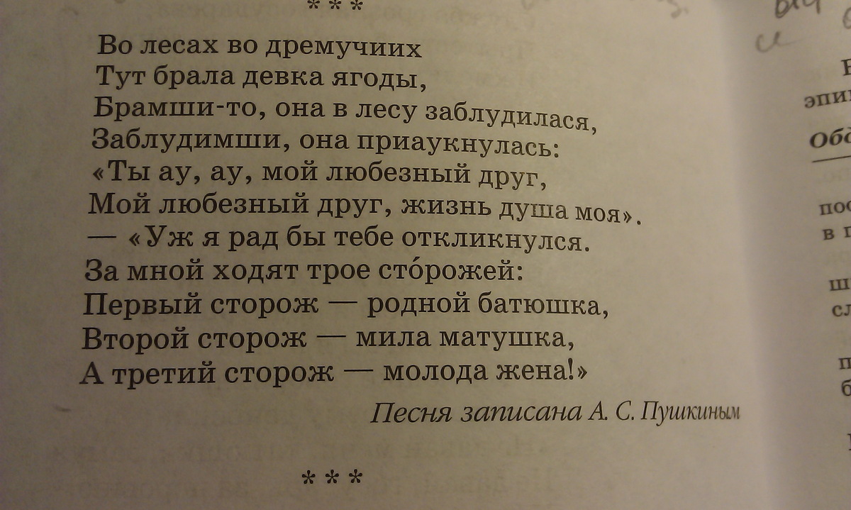 Какими чувствами проникнута песня в темном лесе. Какими чувствами проникнута песня в темном лесе
