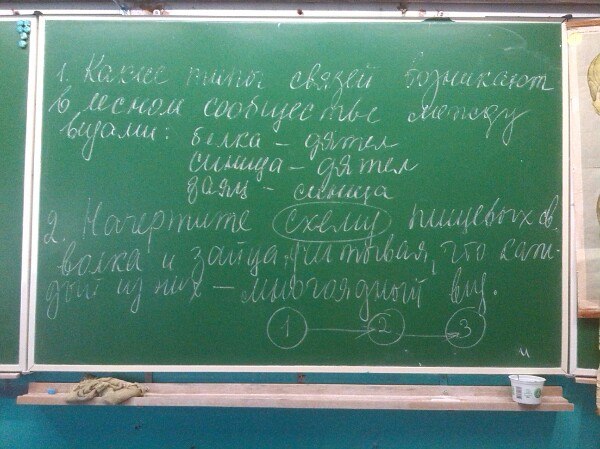 Записать на доску или доске. Students board background. Зеленая доска с формулами. Физика на доске. Записать на доску или доске.