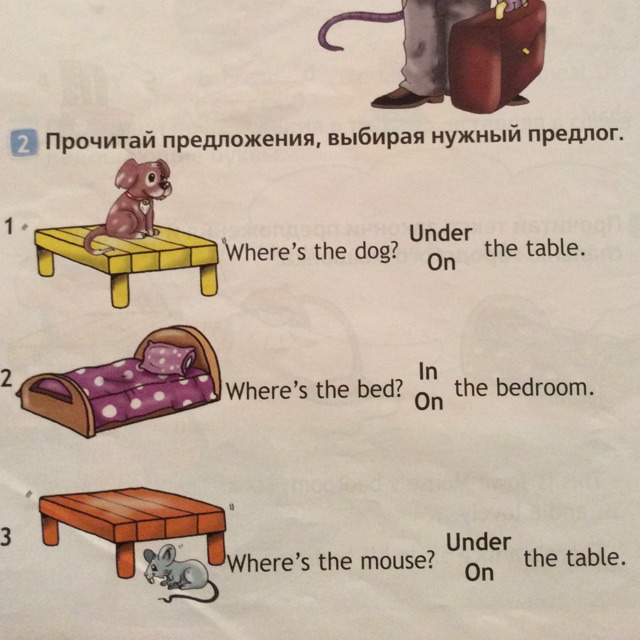 Выбери и впиши нужный предлог. Задания по предлогам в английском языке. Выбери и впиши нужный предлог английский. Вставь нужный предлог 2 класс. Предлоги места в английском упражнения.