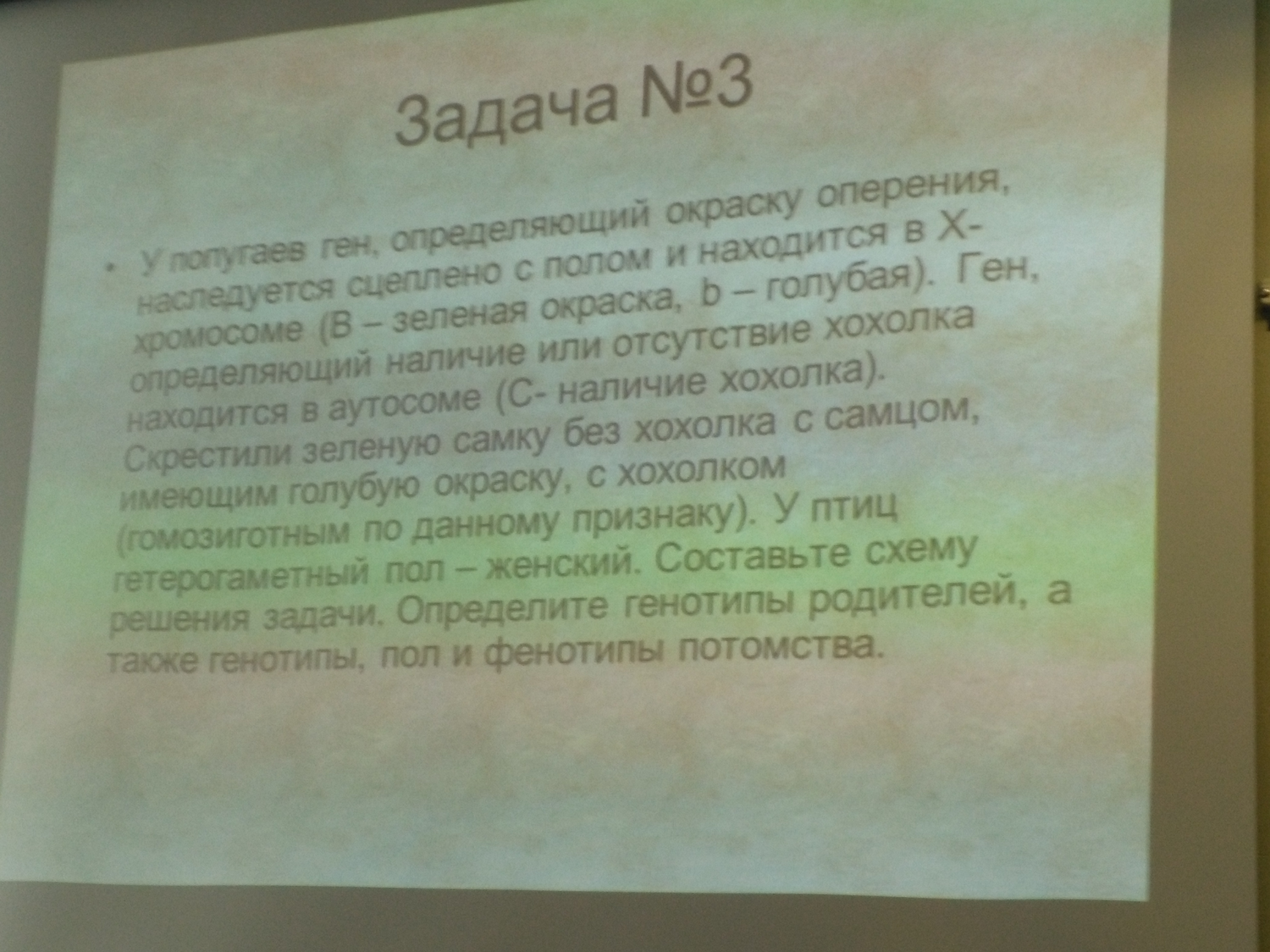 Помогите пожалуйста разобраться с гинетикой?