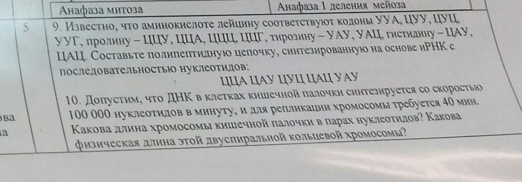 Помогите 9 сделать?