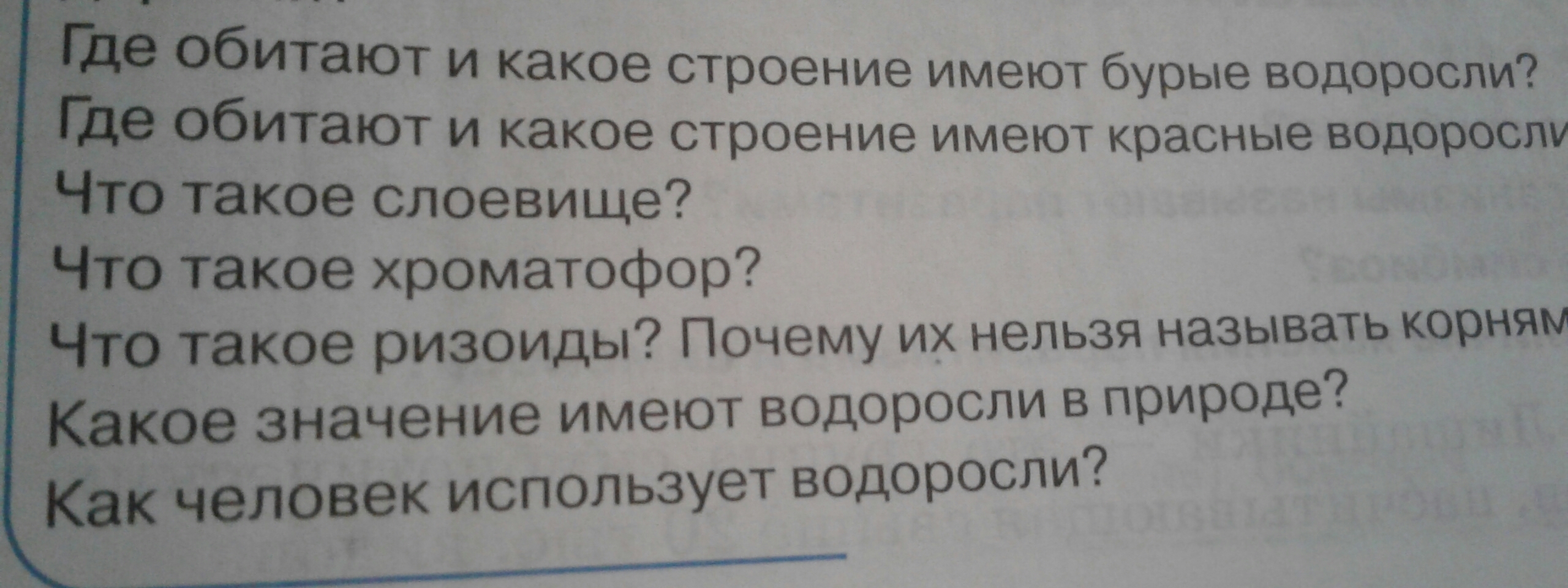 Почему водоросли относят к низшим растениям?