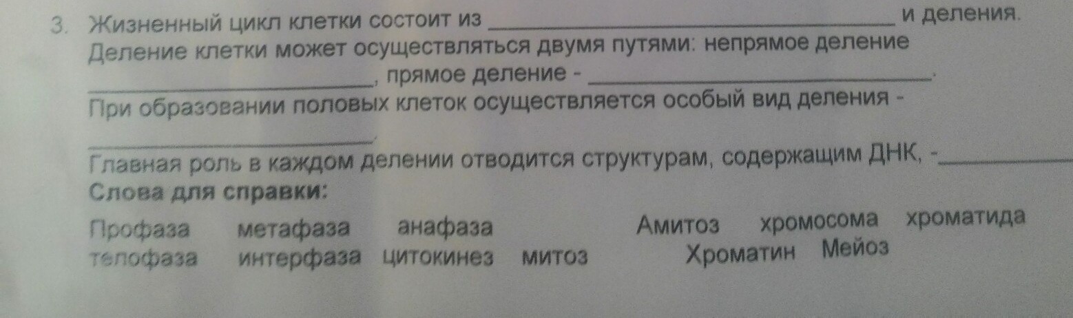 Жизненный цикл клетки состоит?
