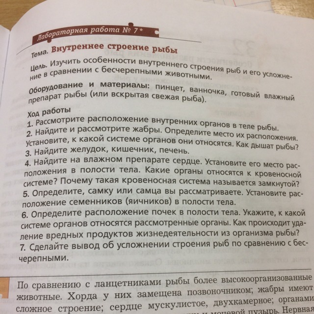Задание внутреннее строение рыб. Лабораторная работа внутреннее строение рыб 7 класс. Внутреннее строение щуки. Лабораторная работа внутреннее строение рыб 7 класс. Лабораторная работа внутреннее строение рыб 7 класс.