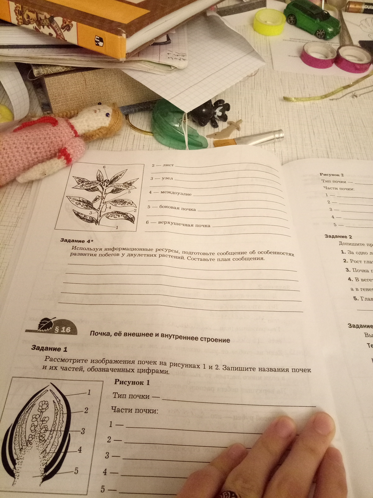 Помогите пожалуйста, буду очень благодарна?
