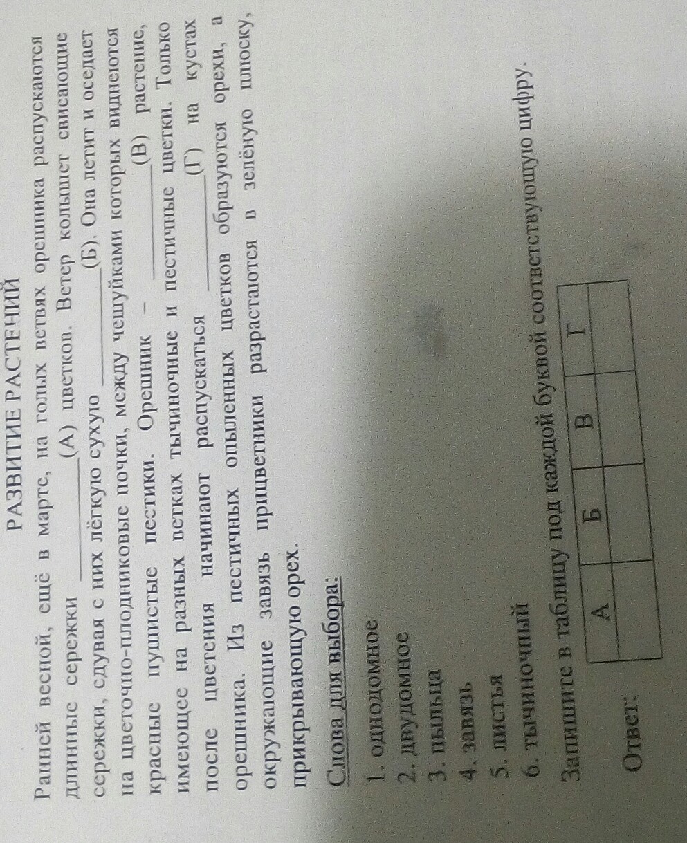 Помогите пожалуйста разобраться?