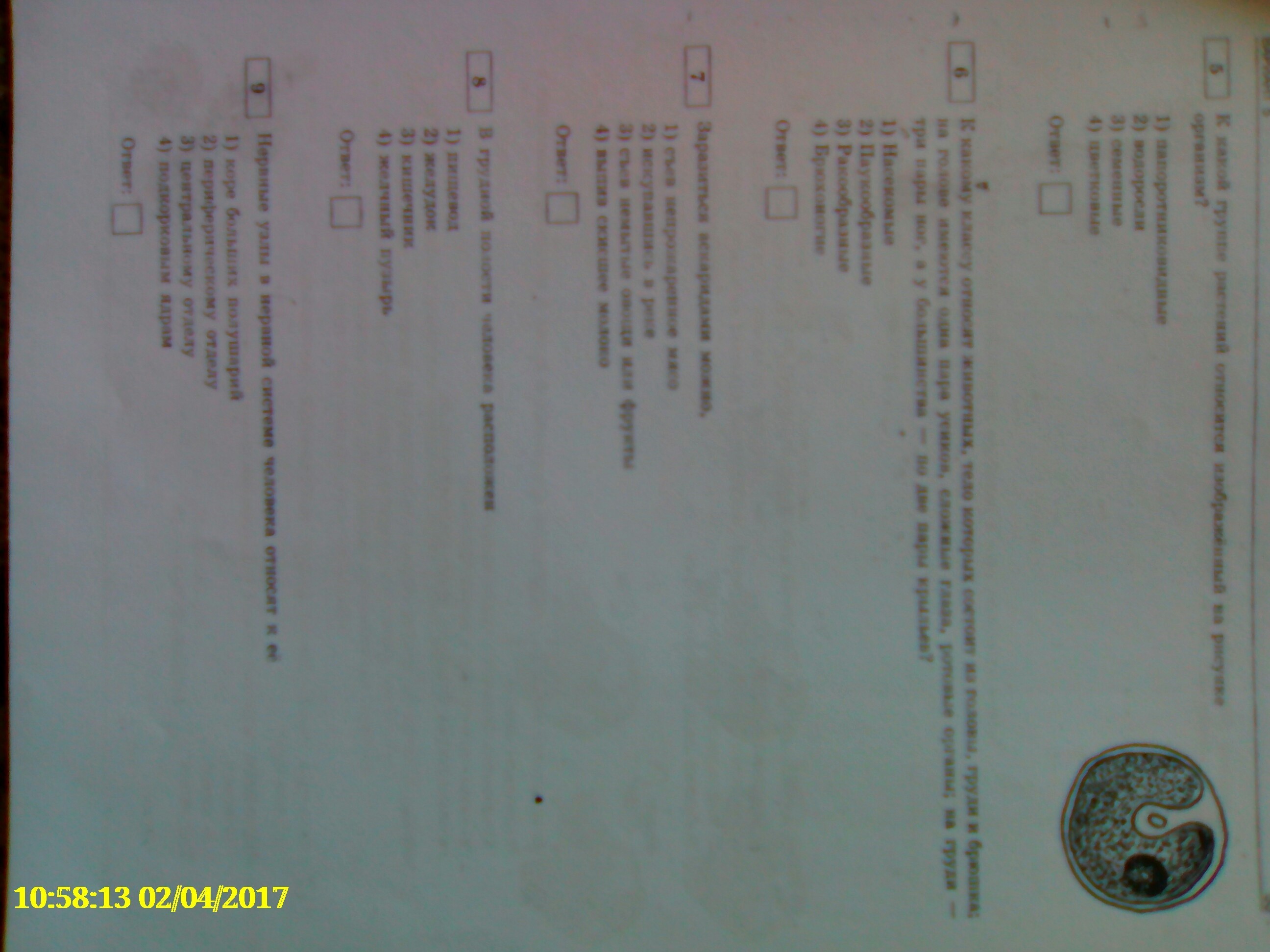 Напишите правильные ответы?