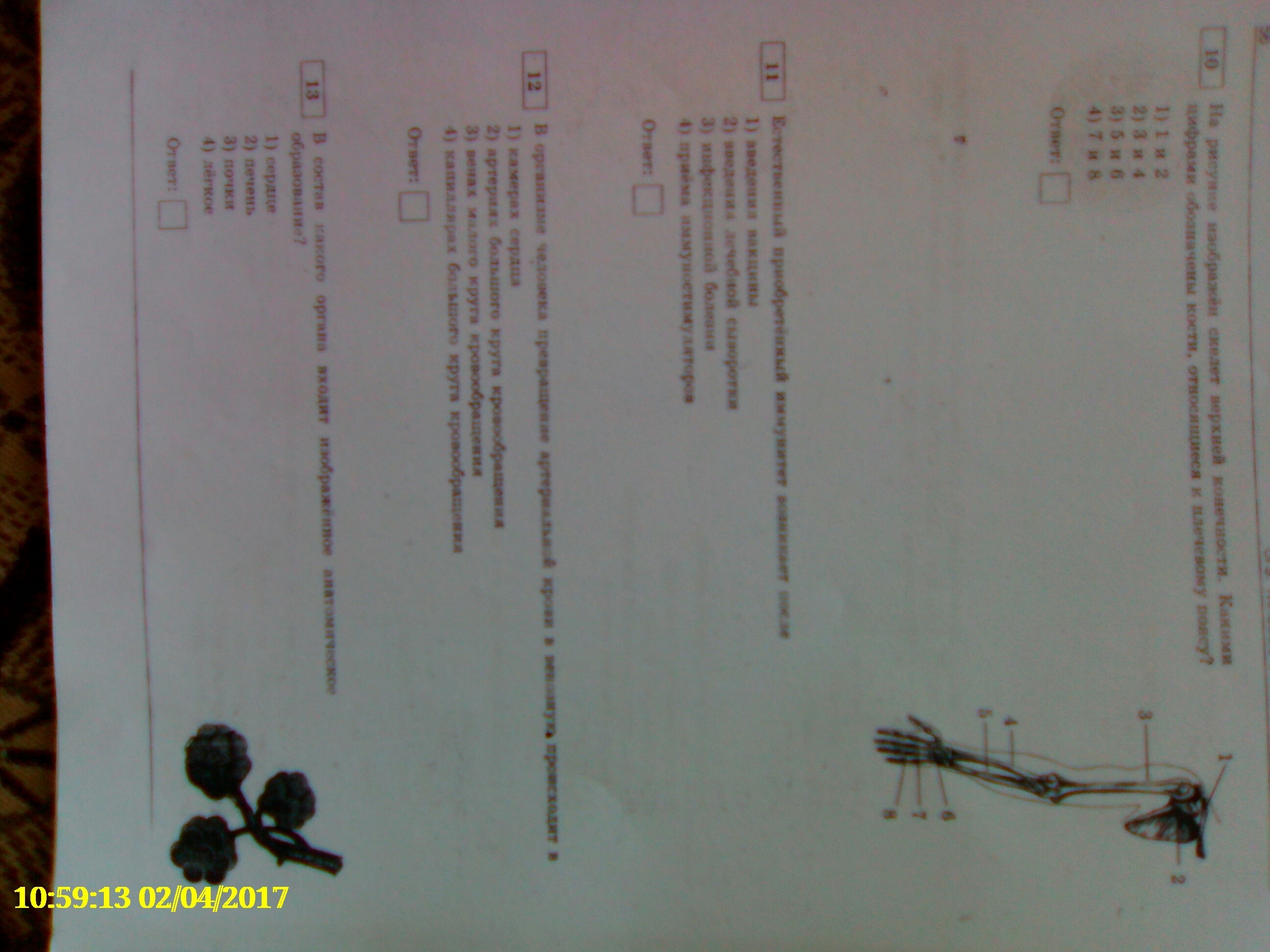 Напишите правильные ответы?