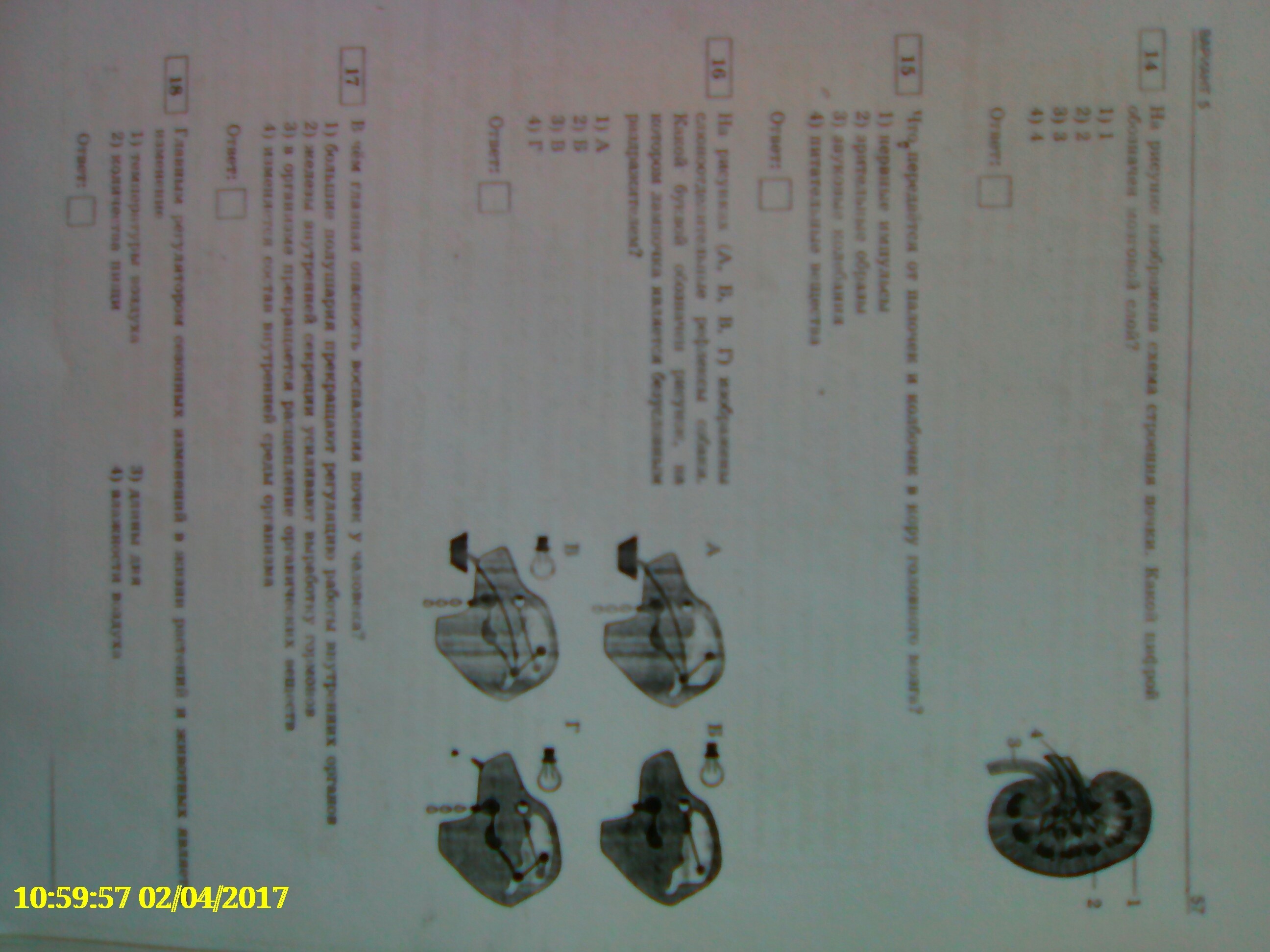 Напишите правильные ответы?