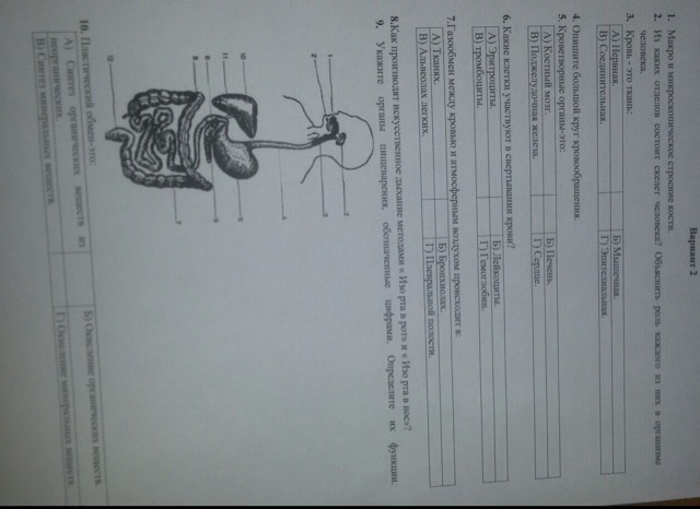 Помогите решить тест по биологии за 8 класс?