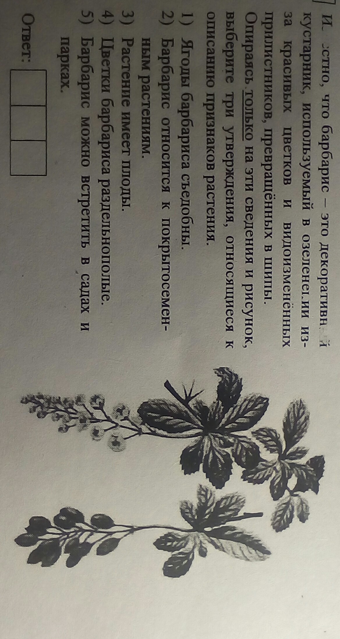 Помогите пожалуйста разобраться?