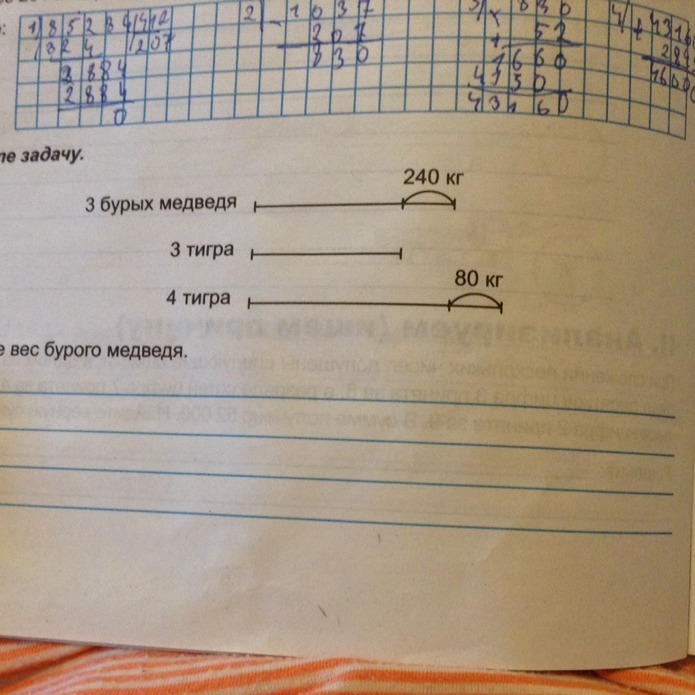 Масса трёх бурых медведей на 240 кг. Решите задачу определите вес бурого медведя. Определи вес бурого медведя. Решите задачу определите вес бурого медведя. Бурый медведь вес.