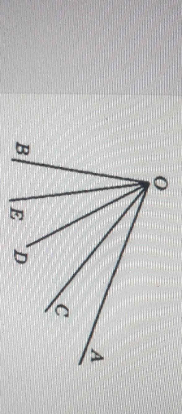 Сколько углов образуют лучи картинка. Сколько углов образуют 5 лучей. Сколько углов образуют 3 лучи. Сколько углов образуют лучи. Сколько углов образуют лучи.