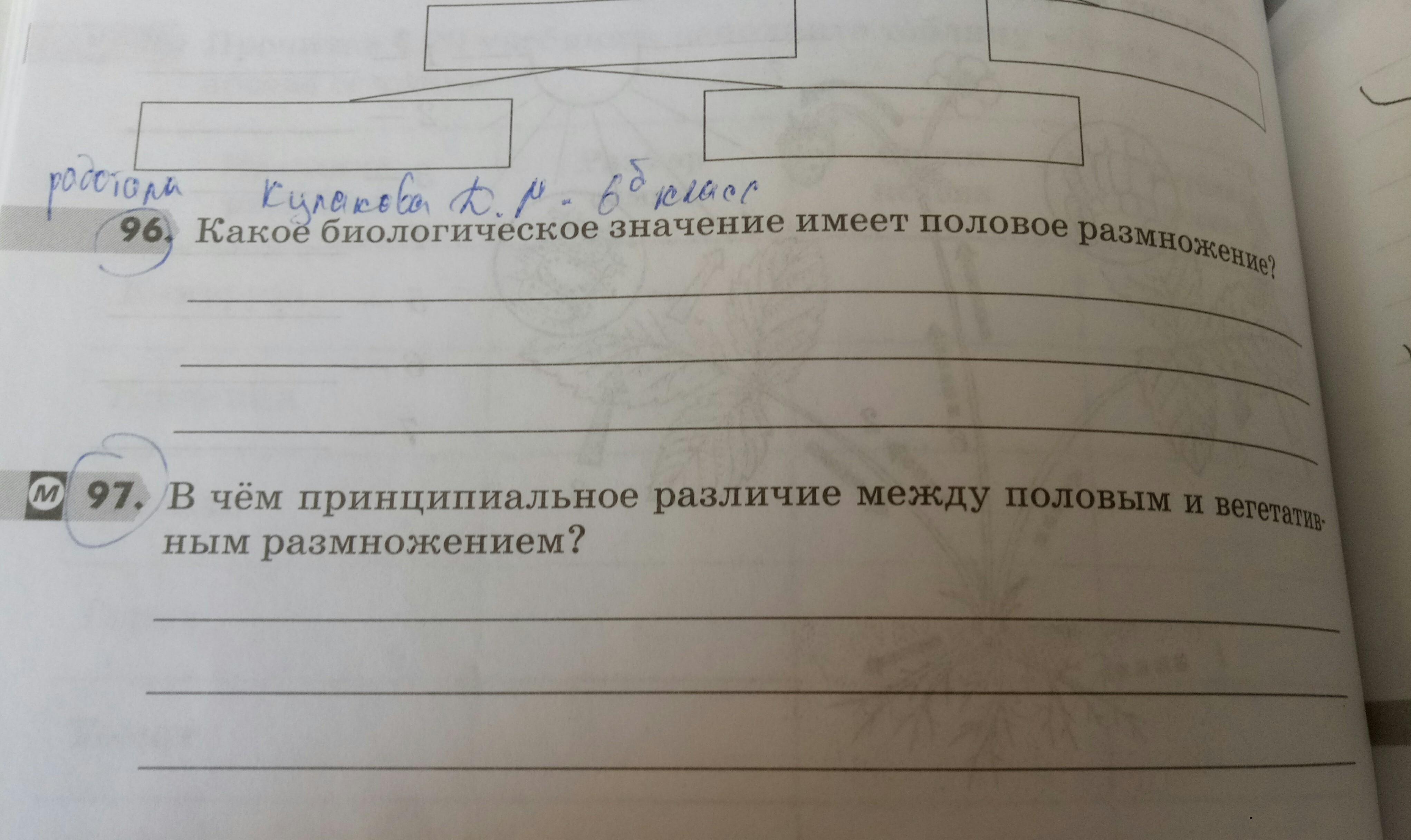 Нужен полный, правильный ответ, Помогите пж?