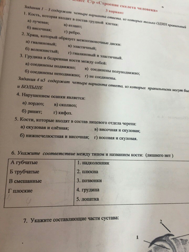 Умоляю помогите пожалуйста?