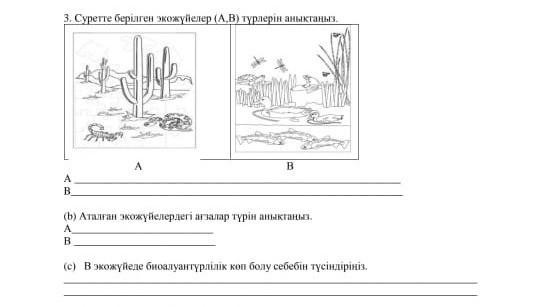 ЛЮДИ СРОЧНО ПОМОГИТЕ?