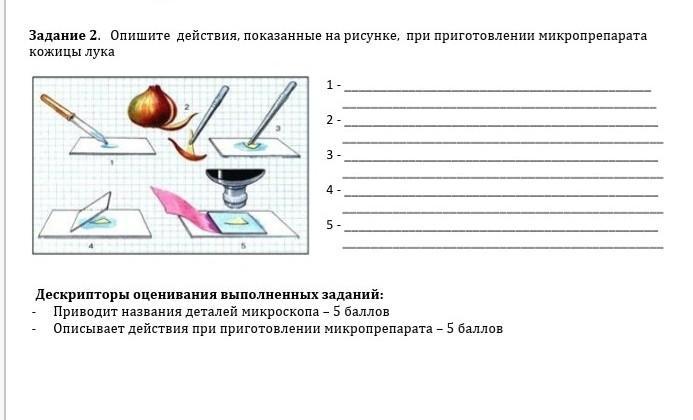 Помогите пожалуйста ​?