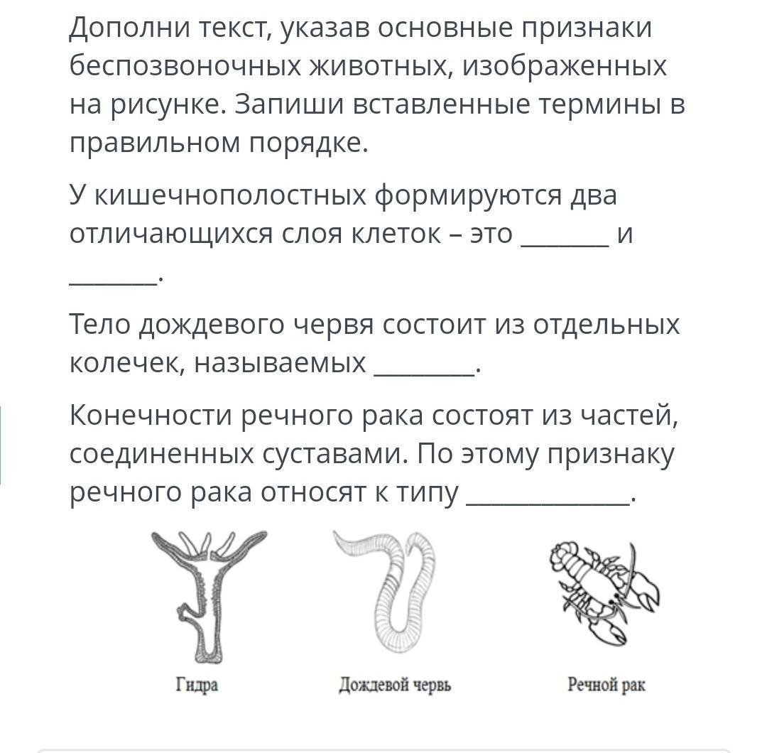 Дополни текст, указав основные признаки беспозвоночных животных, изображенных на рисунке?