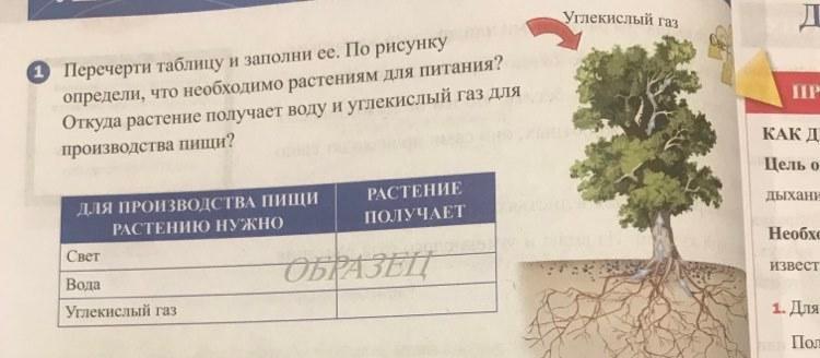 Природа 3 классПожалуйста решите это Срочно?